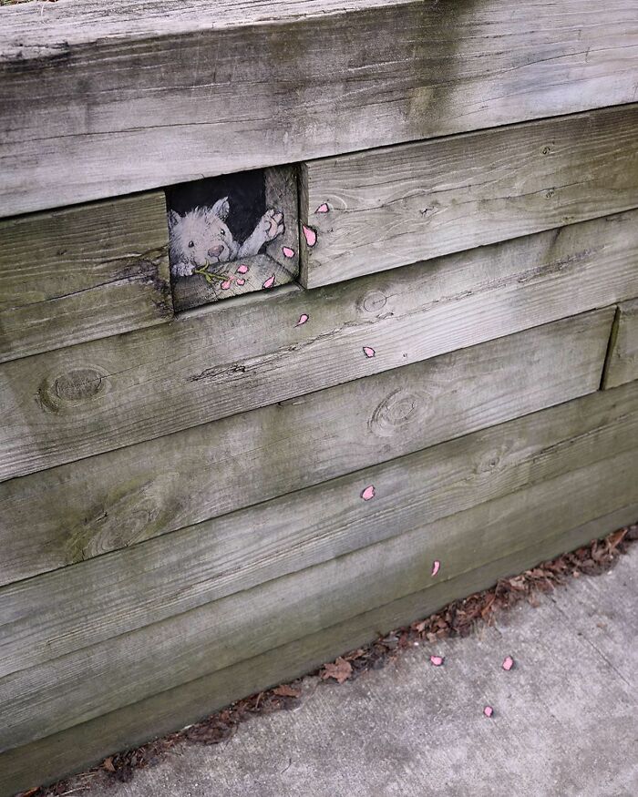 The Ephemeral Art Of Chalk. David Zinn Extracts Life From The Streets And Walls (New Pics)