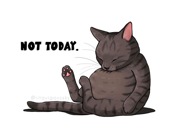 This Artist's Cat Illustrations Are Perfectly Feline (28 New Pics)