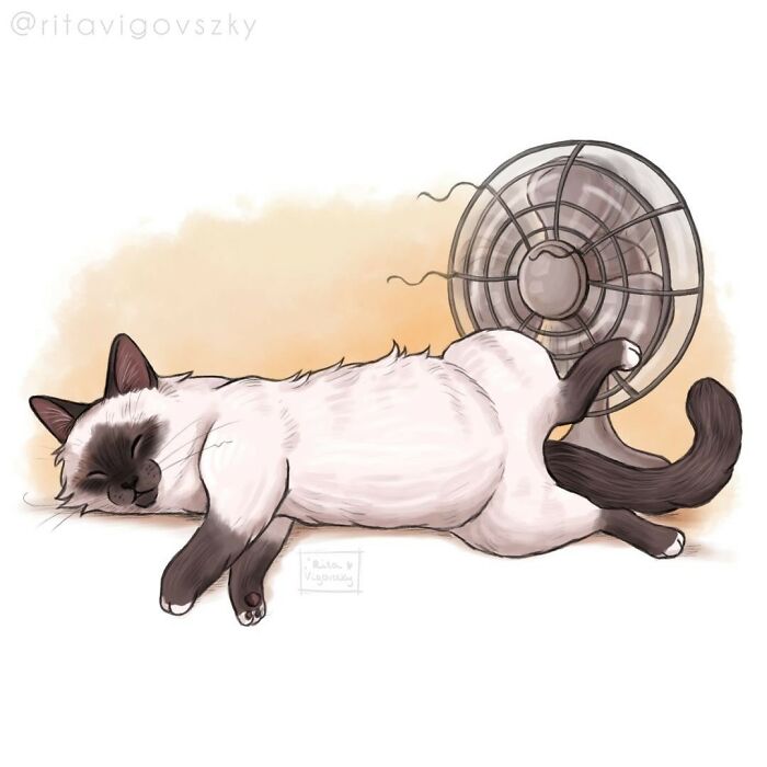 This Artist's Cat Illustrations Are Perfectly Feline (28 New Pics)