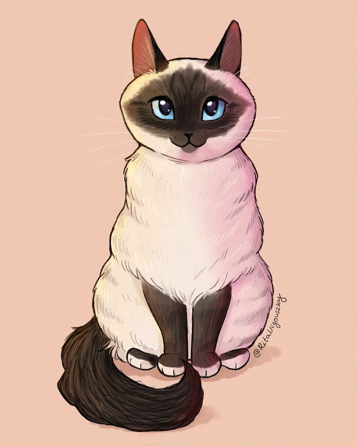 This Artist's Cat Illustrations Are Perfectly Feline (28 New Pics)