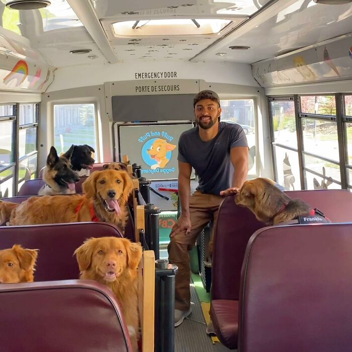 Guy Converts A School Bus To Take Dogs On Daily Adventures
