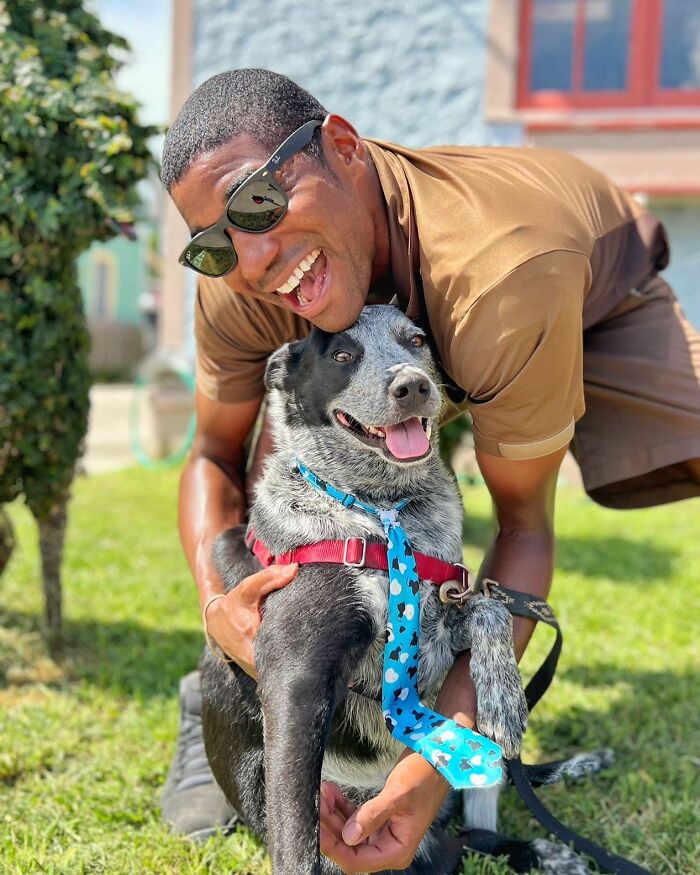 UPS Delivery Man Makes A Point Of Greeting Every Dog He Encounters (New Pics)