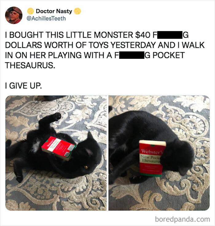 It's Trying To Learn