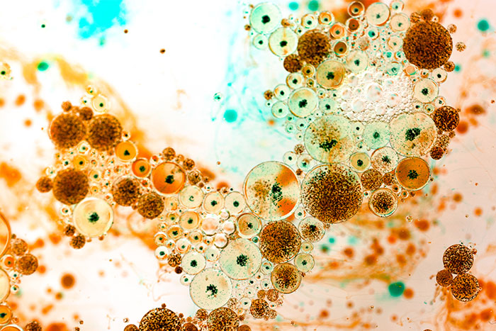 30 People Are Cracking Up At How Kids Hilariously Misunderstand Simple Concepts