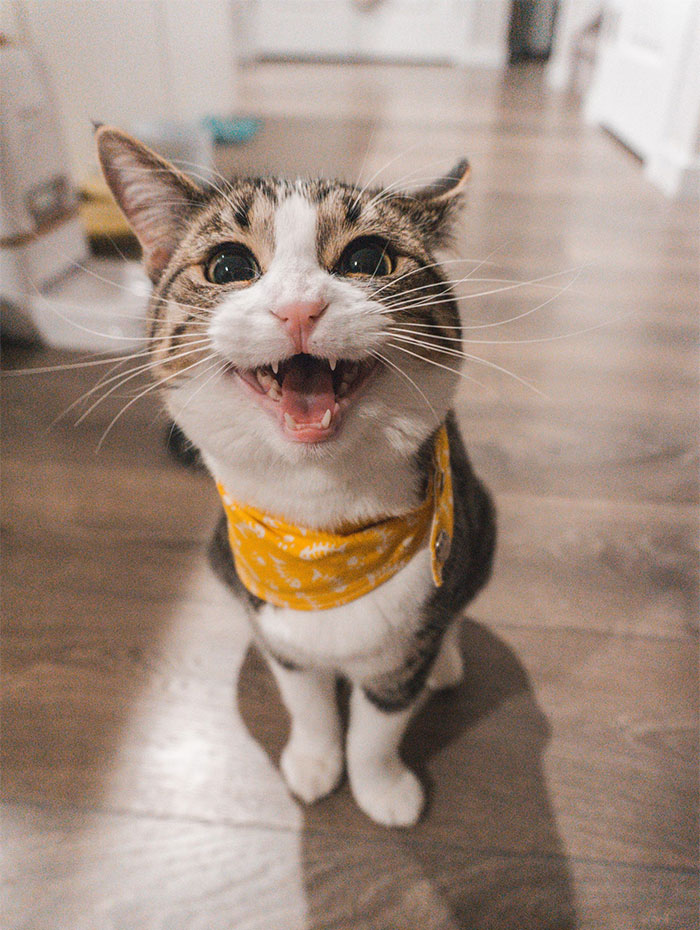 “It Was All A Test”: 50 Reasons People Are No Longer In A Relationship