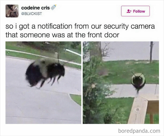 Well Come On Then Buzz Him In!