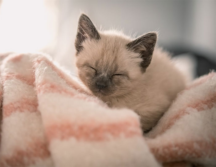 30 People Are Cracking Up At How Kids Hilariously Misunderstand Simple Concepts