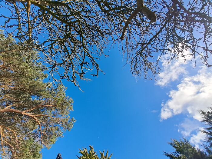 Lying In My Garden Enjoying The View