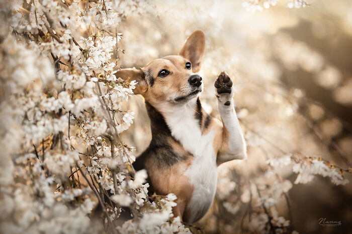 See You All In 2024!