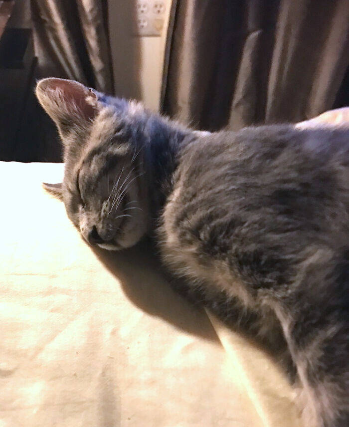 Thomas Dreaming..."Beautiful Beautiful Boy"