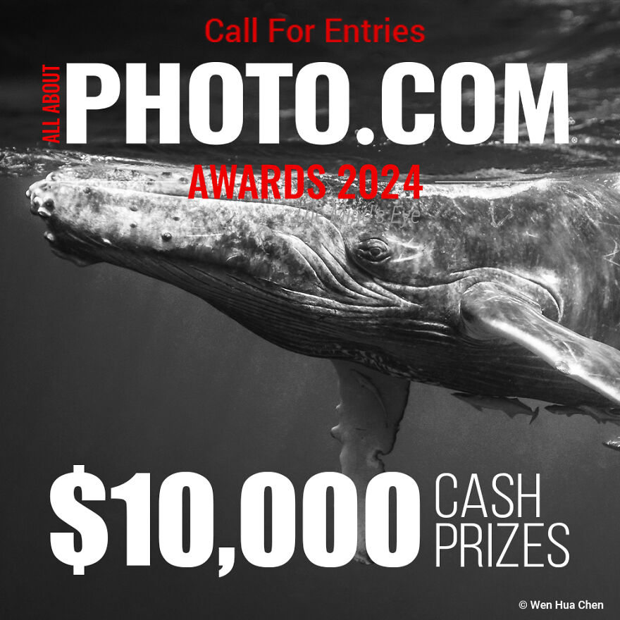 All About Photo Awards 2024 - $10,000 Cash Prizes