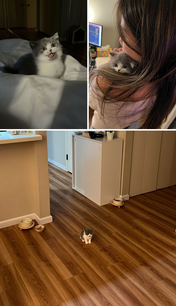 I Just Got Jim And He Is Ridiculously Small