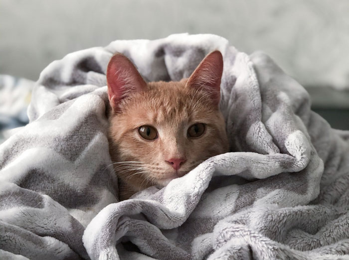 This Woman Spilled 13 Airline Secrets That A Good Deal Of Travelers Are Absolutely Unaware Of