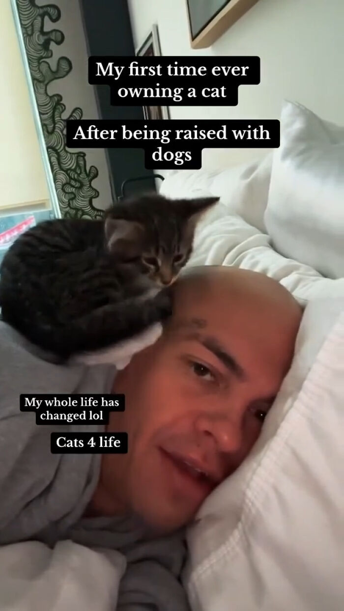 Animals-Doing-Things-Memes-Pics