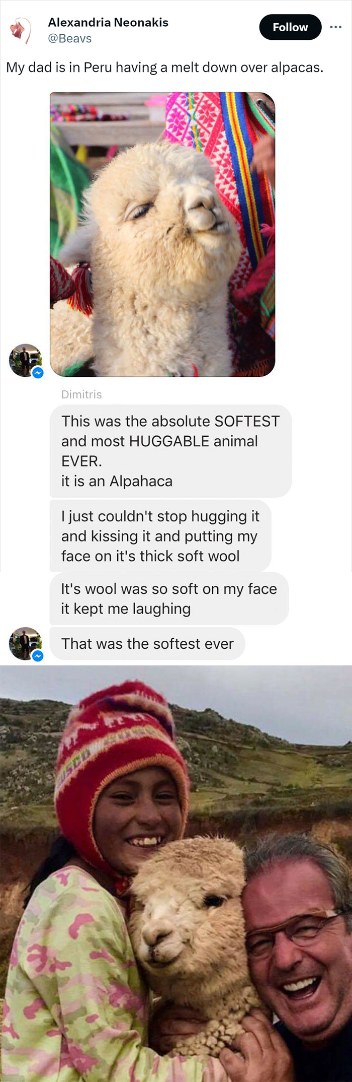 Animals-Doing-Things-Memes-Pics