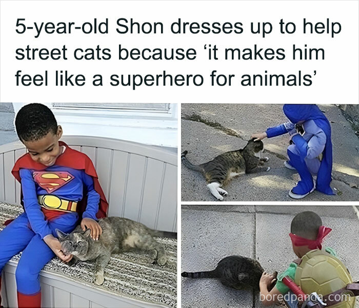 Animals-Doing-Things-Memes-Pics