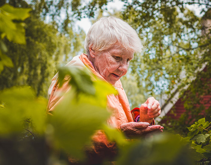 "What’s A Secret That Could Tear Your Entire Family Apart?" (32 Answers)