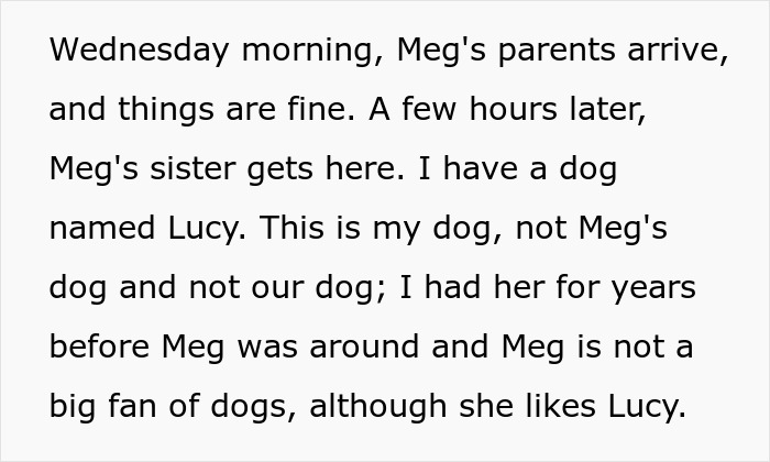 Man Loses His Cool After He Almost Lost His Dog Because Of Future In-Laws Who Don&rsquo;t Feel Remorse