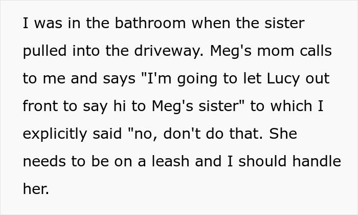 Man Loses His Cool After He Almost Lost His Dog Because Of Future In-Laws Who Don&rsquo;t Feel Remorse