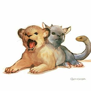 alizaelias-bachrach avatar