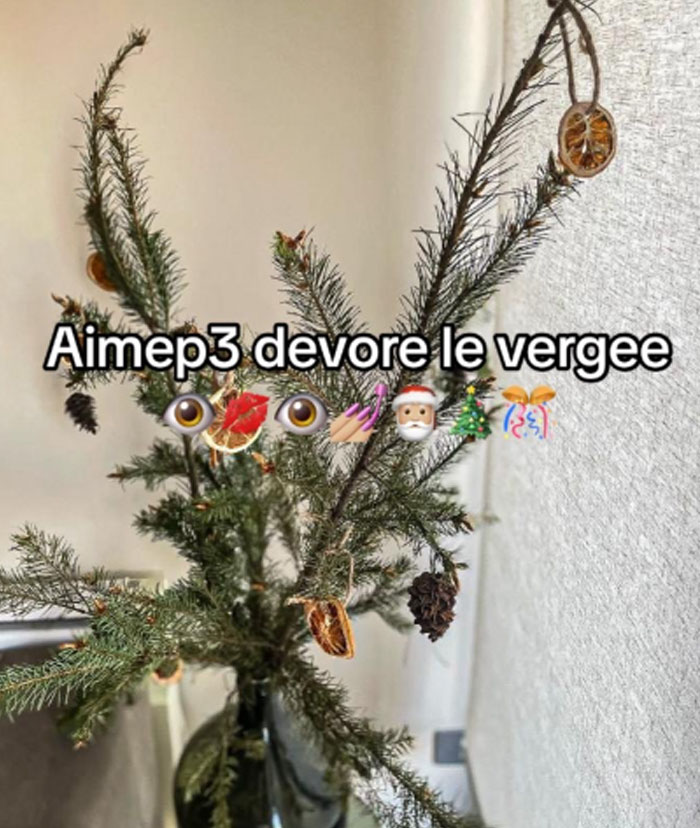 Bad-Christmas-Decorations-Tiktok-Trend