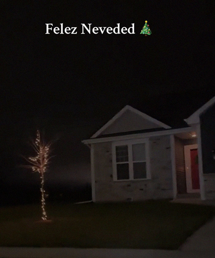 Bad-Christmas-Decorations-Tiktok-Trend