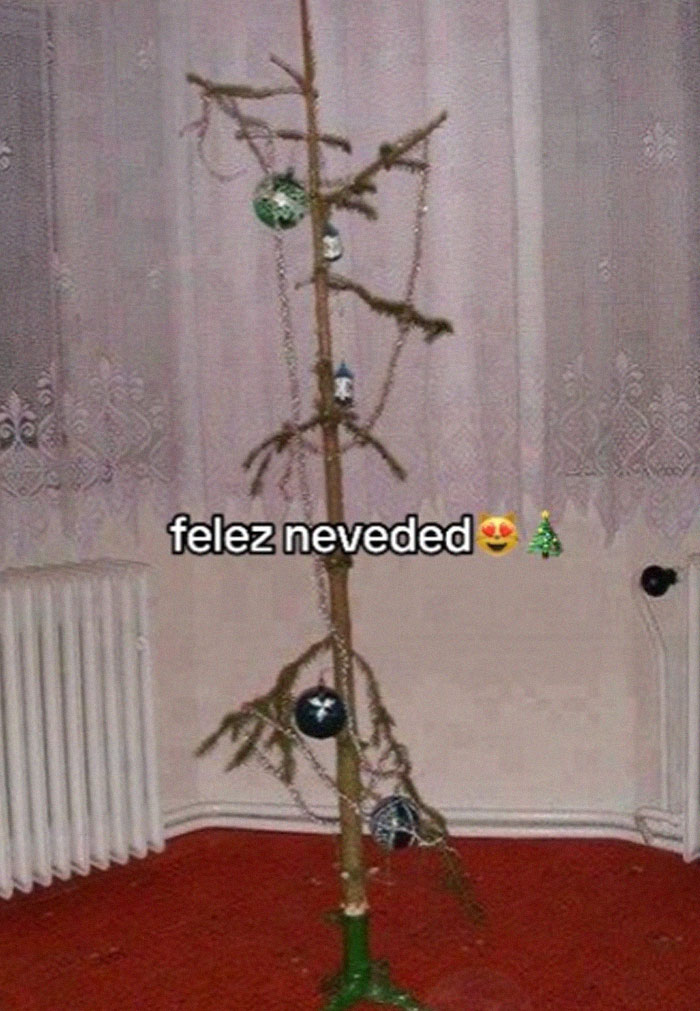 Bad-Christmas-Decorations-Tiktok-Trend