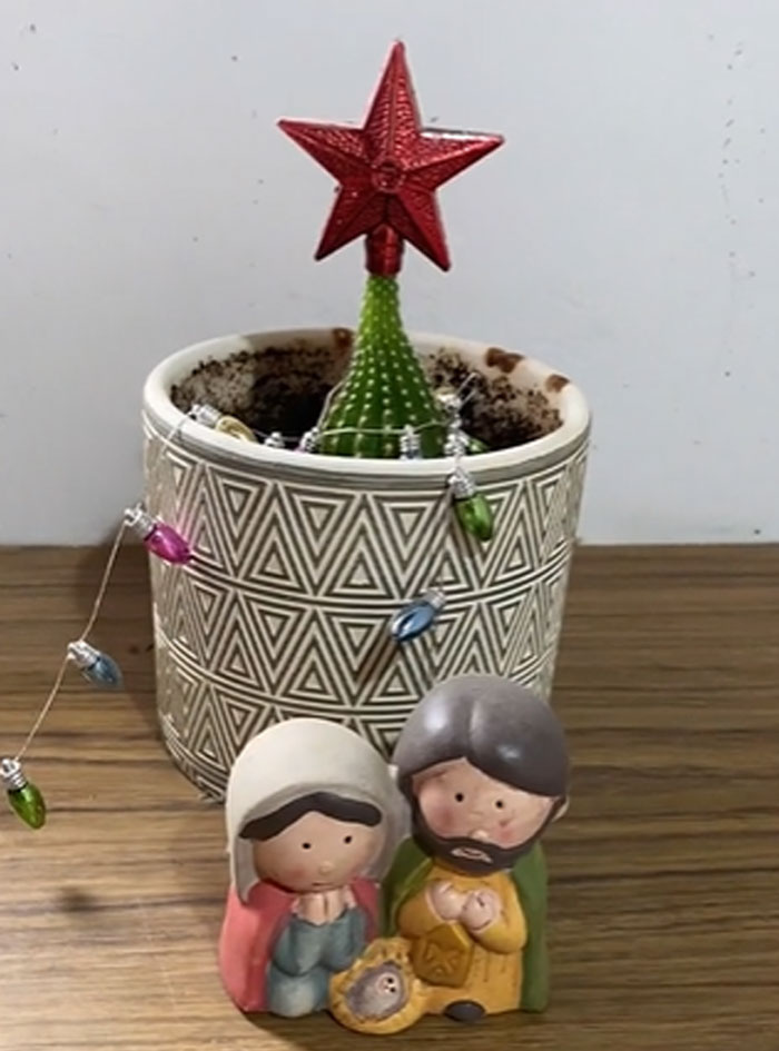 Bad-Christmas-Decorations-Tiktok-Trend