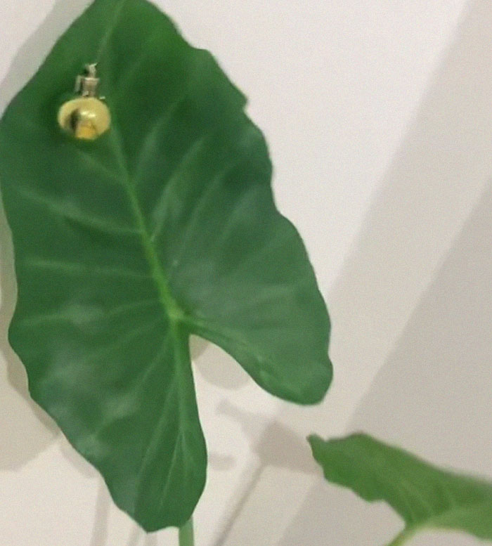 Bad-Christmas-Decorations-Tiktok-Trend