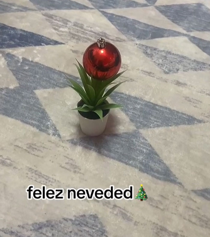 Bad-Christmas-Decorations-Tiktok-Trend