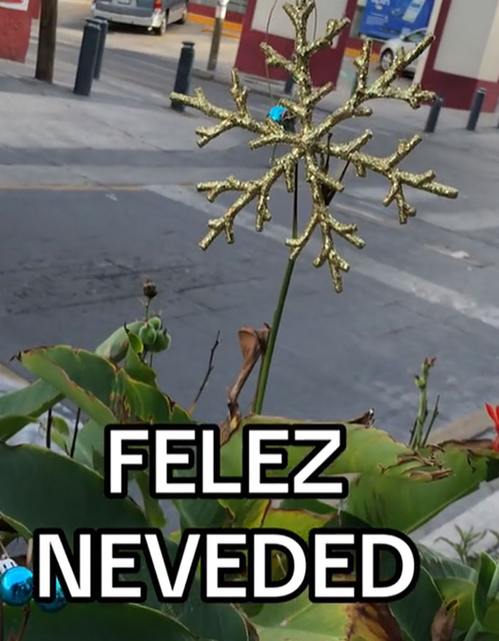 Bad-Christmas-Decorations-Tiktok-Trend