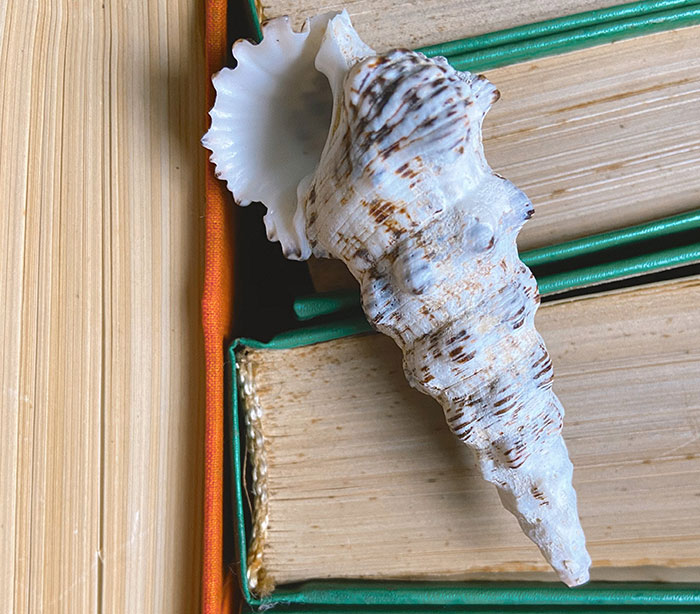 “He Became Single For Christmas”: 40 Of The Worst Xmas Gifts These People Have Ever Received