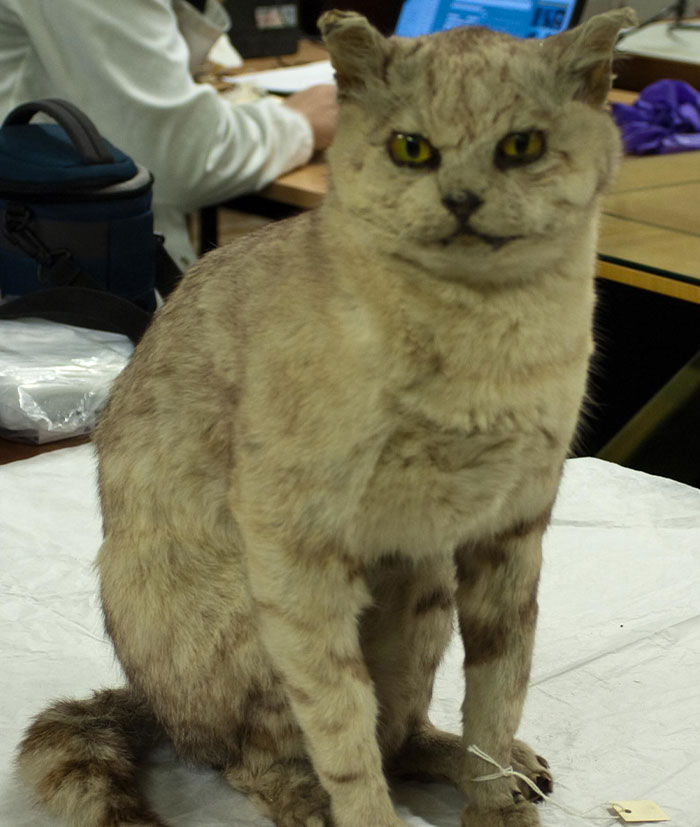 “He Became Single For Christmas”: 40 Of The Worst Xmas Gifts These People Have Ever Received