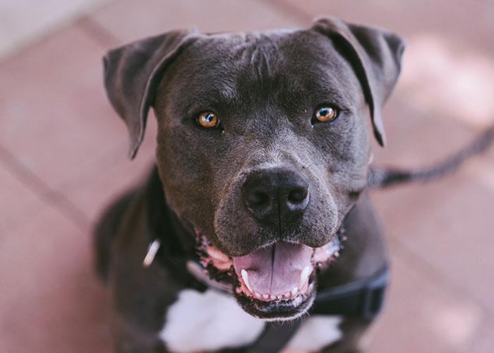 "What Is A Very Bad Statistic People Should Know?" (40 Answers)