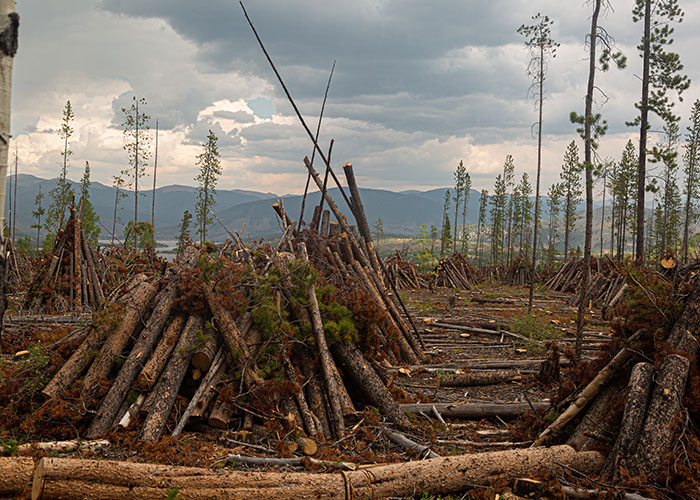 "What Is A Very Bad Statistic People Should Know?" (40 Answers)