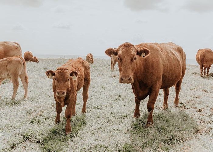 "What Is A Very Bad Statistic People Should Know?" (40 Answers)