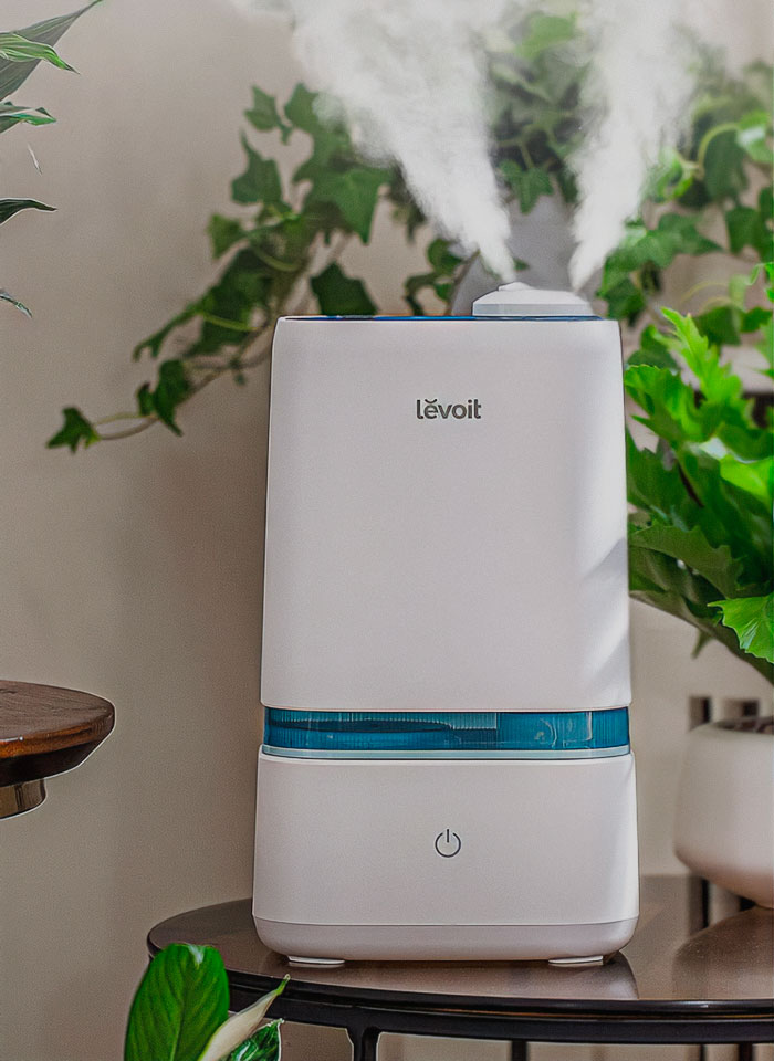 Humidifier on the table near plants