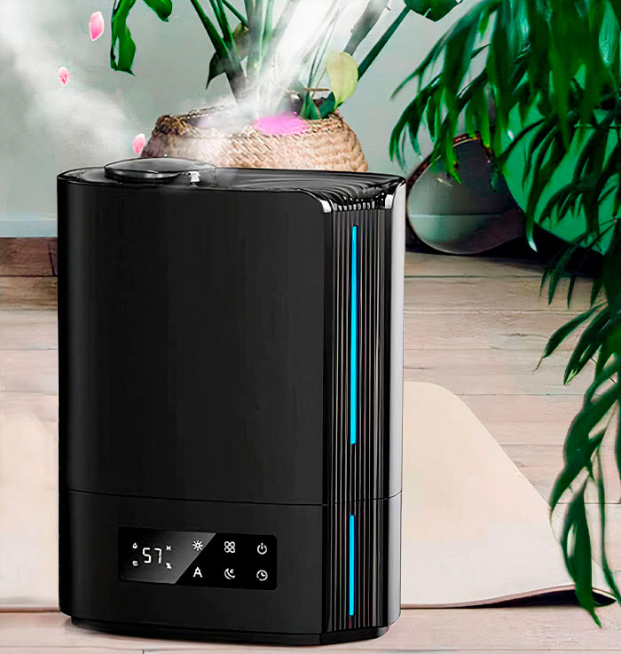 Black humidifier near plants