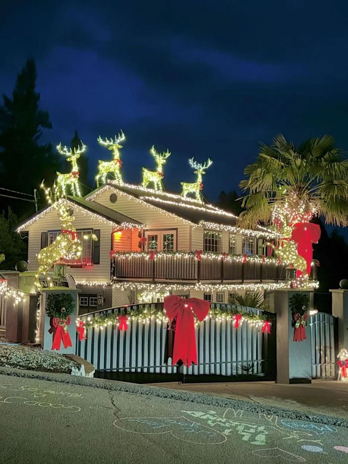 Woman Loses Her Son, Tries To Dull Her Pain With Christmas Decorations, Faces Neighbor's Petty Note