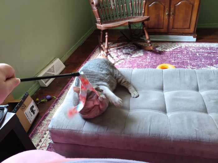 Bouche Killing The Wand Toy