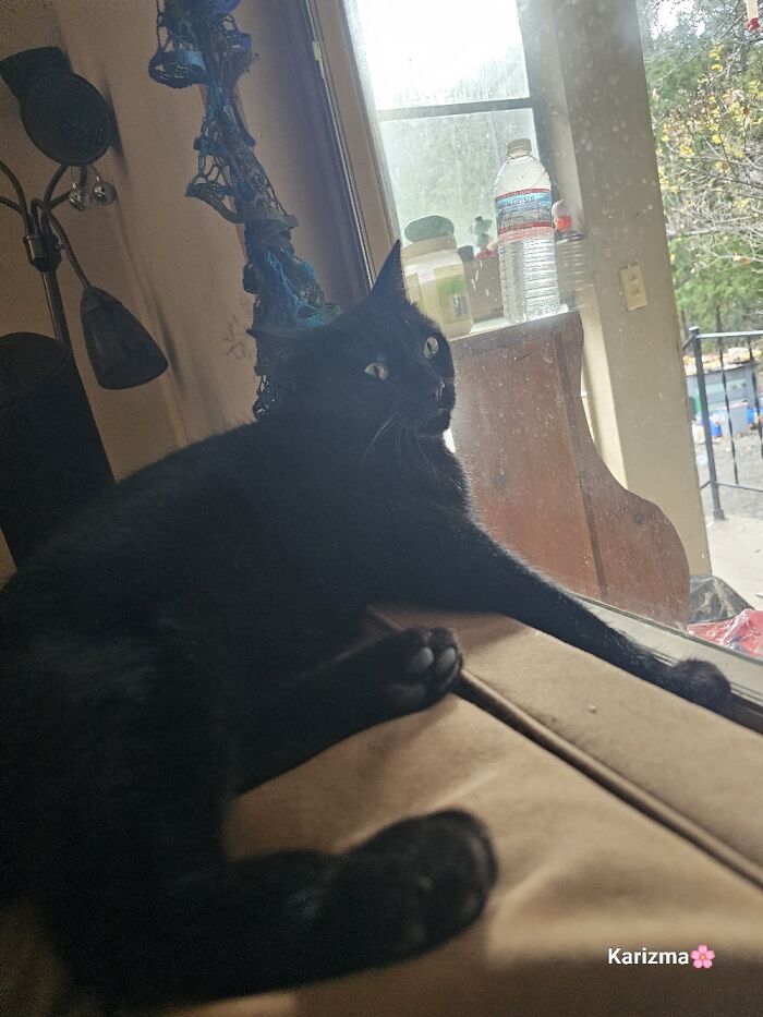 Not Quite Sure What's Going On