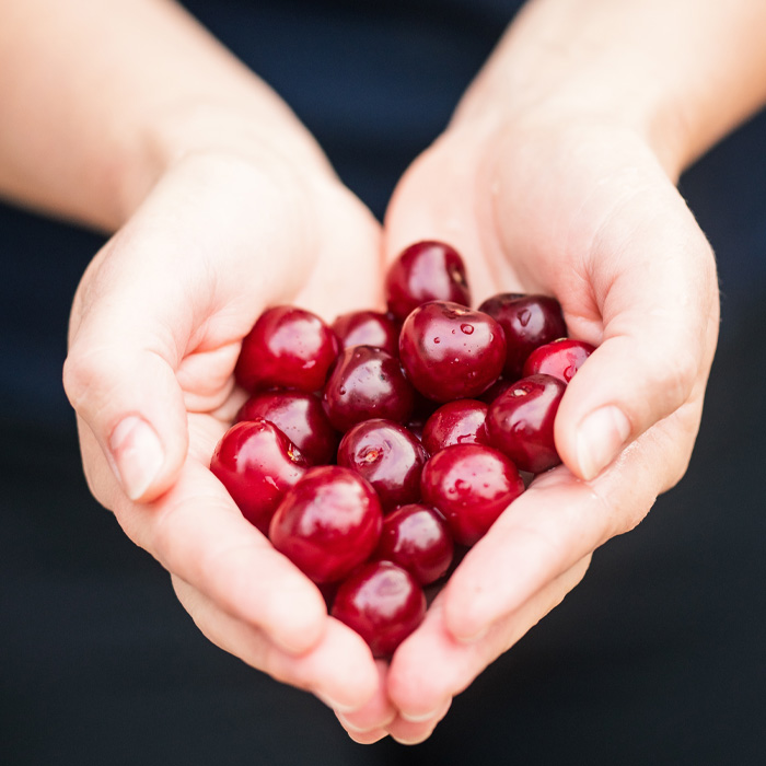 Hands holding fresh cherries close-up. Hands holding fresh cherries close-up.
