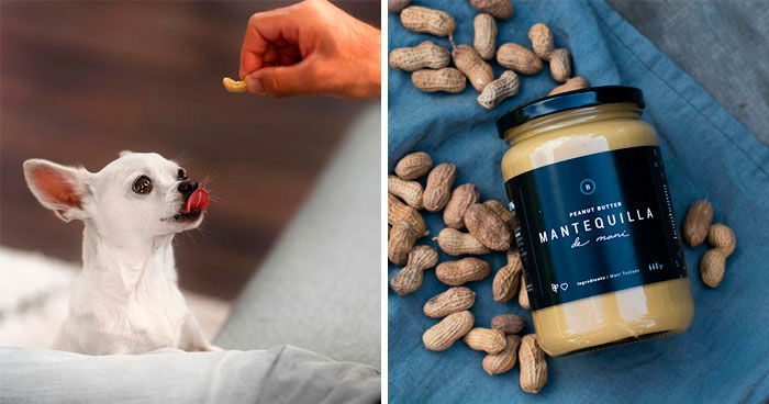 Are Peanuts and Peanut Butter Safe for Dogs? Must-Know Food Safety for Your Pet