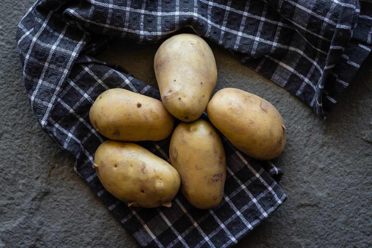 Five potatoes on a checkered cloth.