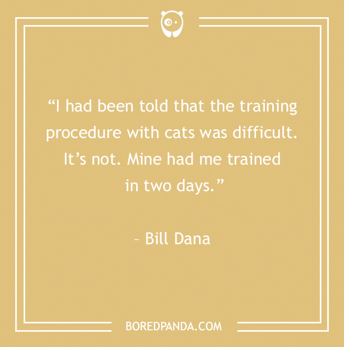 105 Cat Quotes Every Feline Fan Will Like