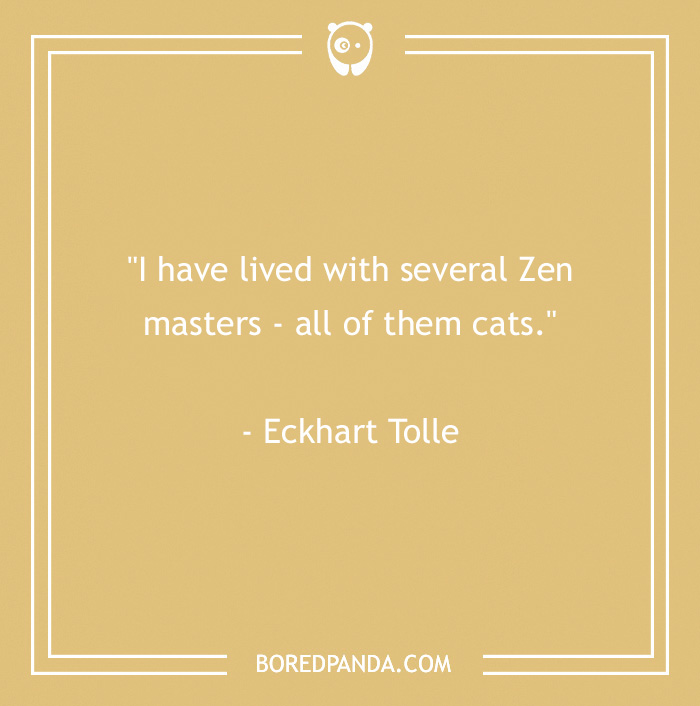 105 Cat Quotes Every Feline Fan Will Like