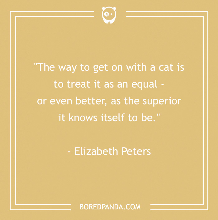 105 Cat Quotes Every Feline Fan Will Like