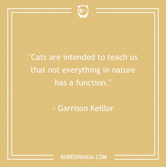 105 Cat Quotes Every Feline Fan Will Like