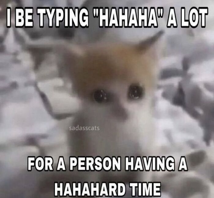 Chaotic-Funny-Cat-Pics