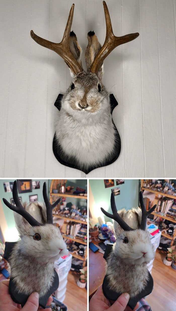 What I Ordered For My Wife For Christmas vs. What Showed Up In The Mail... They Got Me Good